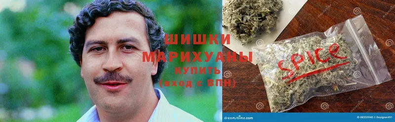 ссылка на мегу ТОР  дарнет шоп  Скопин  МАРИХУАНА LSD WEED 